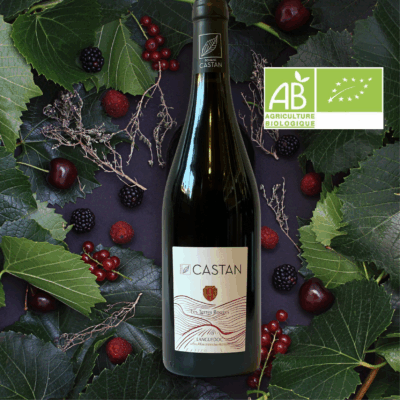 les terroirs: les terres rouges aoc languedoc