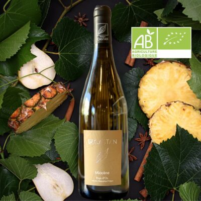 Miocène - IGP Oc BIO